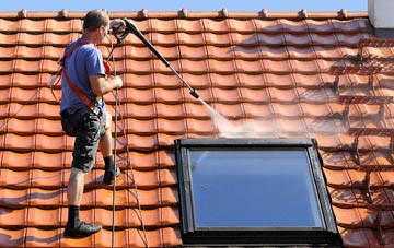 roof cleaning Burrowbridge, Somerset